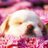 coolway92's profile image