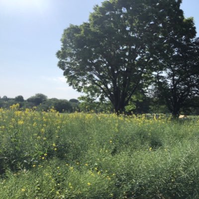 entracte_ot's profile picture. ミュージカルが好き！広く浅く生きていますが、ノートルダムの鐘の感想を抱えきれず作りました。基本的に思いついた時に思いついたことを呟く壁打ちアカウントです。。 特に好きなもの:ノートルダムの鐘、RENT、WSS、喧嘩する曲