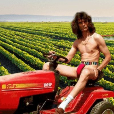 yieldenjoyer's profile picture. Scavenger of chains|
Enjoyoor of yield|
10x route