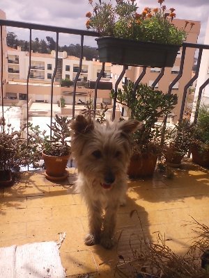 CanhotoArmando's profile picture. Kelly