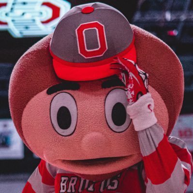 The official mascot of Ohio State athletics, bringing you pure fandemonium & #GoBucks all day, every day!