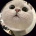 thngyn__ (@nguyenthaothao1) Twitter profile photo thngyn__ (@nguyenthaothao1) Twitter profile photo