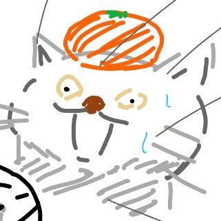 ビールおいしーーーーーーー／TSとか百合が好き／※既読感覚でいいねするのでミュート推奨です