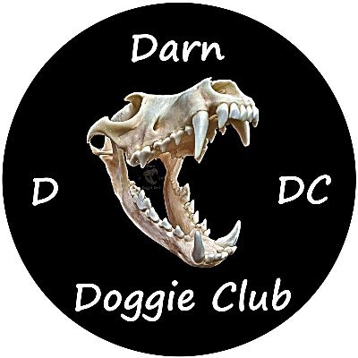 DarnDoggieClub 🌠さんのプロフィール画像
