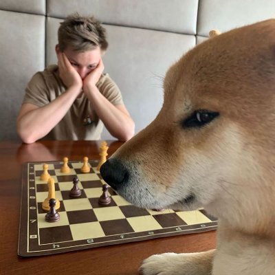 kleibertumor's profile picture.