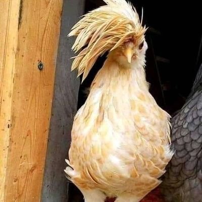 dewanalambaka's profile picture. do not expect too high of humans because you will get disappointment, enjoy your life while being useful for people who love you