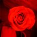 single Irapuato (@edgar12122_) Twitter profile photo single Irapuato (@edgar12122_) Twitter profile photo