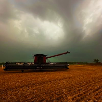 Family run farm custom farming and trucking business. Maizex Seed Dealer. Based out of Chatham-Kent, serving Southwestern Ontario.