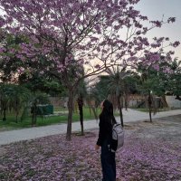rahimeen (@rahimeenz) 's Twitter Profile