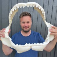 David C Bernvi (@bernvi) 's Twitter Profile