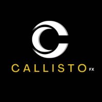 Callisto FX(@callistofx0) 's Twitter Profile Photo