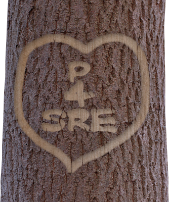 P4SRE: Parents & Carers for Good Sex & Relationships Education. The national campaign for universal provision of evidence-based, good quality sex education.