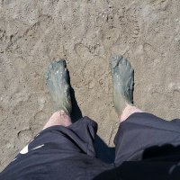Franz (@oscar_ger67) Twitter profile photo