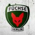 Füchse Berlin Esports 🦊 (@FuechseEsports) Twitter profile photo