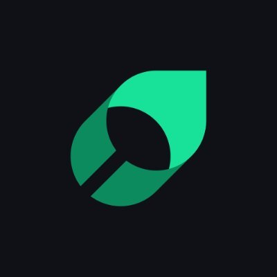 mintlify Profile Picture