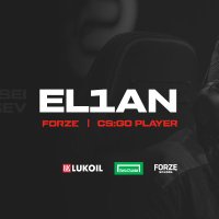 Aleksey Gusev (@el1ancsgo) 's Twitter Profile
