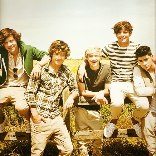@onedirection fan since december 2010♥♥♥