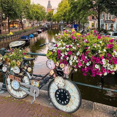 natakiss0909's profile picture. 