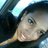 Ask Nikki (@tristate) 's Twitter Profile