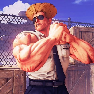 Data Architect & Street Fighter Fanatic