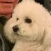 SallySays (@roobiescoobie) Twitter profile photo SallySays (@roobiescoobie) Twitter profile photo