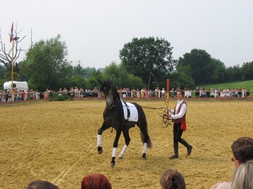 Ismael_Nijst's profile picture. 