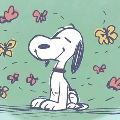 すぬちゃんさんのプロフィール画像