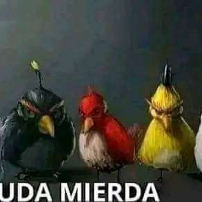 Lokidrilo_07's profile picture. Grone y Cule toda la vida 💙🤍/❤️💙