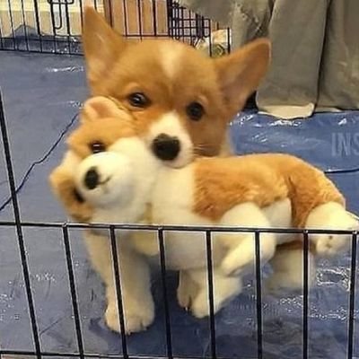 DavidCh87048462's profile picture. 