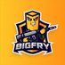 Bigfry🍟 (@BigfryTV) Twitter profile photo