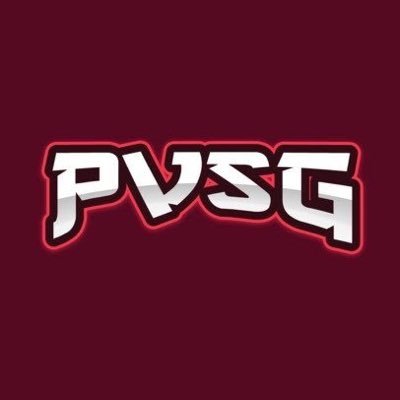 PrestonVSGaming Profile Picture