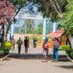 Rift Valley Technical Training Institute (@rvtti) Twitter profile photo Rift Valley Technical Training Institute (@rvtti) Twitter profile photo