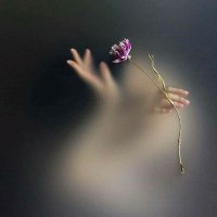 Nermin Ahmed (@elsadykarm) Twitter profile photo