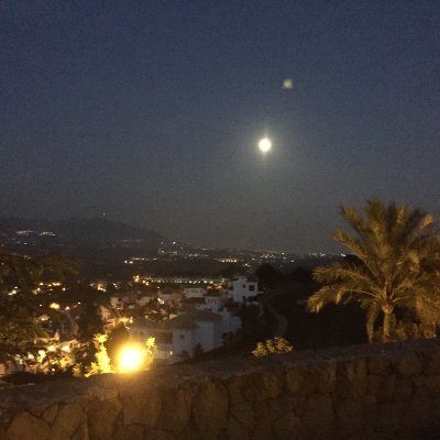 OlssonFrans's profile picture. 