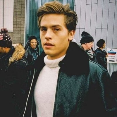 voguishidol's profile picture. Tweets courtesy of Buzzfeed • A walking comedy special minus the laughter • Not the real Ross Lynch