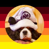 Karl Klarname 💙💙(räudige Ausgeburt von Hetzer😂)(@KarlKlarname63) 's Twitter Profile Photo