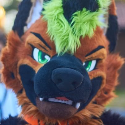 Open AD of a shep! 26 Years old, bisexual and full of energy! 🔞🔞  @Horneduptiger 💚💚