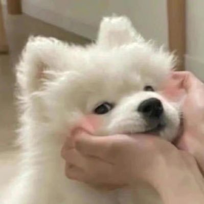 𝖳𝗍𝖺𝖾𝗐𝗍𝖺𝖾𝗐 ₊˚•🫧さんのプロフィール画像