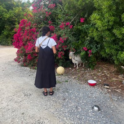 316Mayu's profile picture. 塔南→園田 →ヤノスポーツ→籠谷 主に400m。