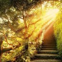 Dr. Michelle Straub - @michellestraub - Twitter