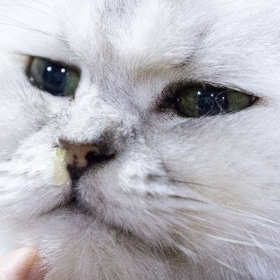 @reo81_HS