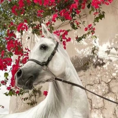 لاتظن بربك غير خيرٍ،فإن الله أولى بالجميل.