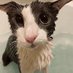 Soggy Bot (@soggerbot) Twitter profile photo Soggy Bot (@soggerbot) Twitter profile photo