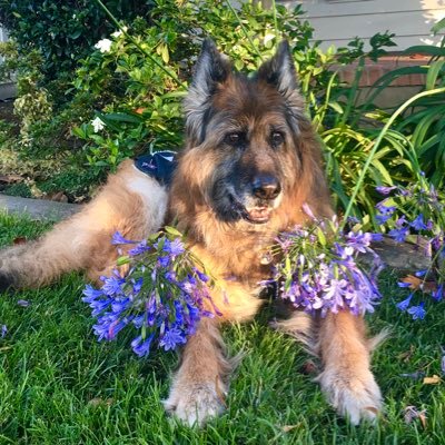 KerimclainKeri's profile picture. 