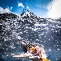 じゃーん (@michilovemi) 's Twitter Profile