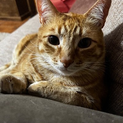 mochilaclasica's profile picture. Tratando de escribir algo para impresionarte, pero no se me ocurre nada, cuando tenga algo interesante lo haré!!🤘🤘