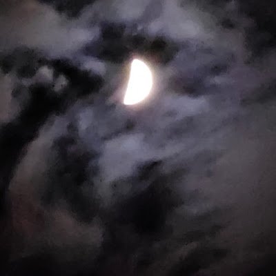 Frantz644586's profile picture. 