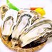生牡蠣 (@nama_kakikaki) Twitter profile photo 生牡蠣 (@nama_kakikaki) Twitter profile photo