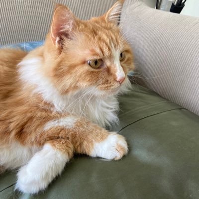 AlexZha99297892's profile picture. 