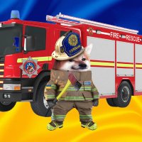 NAFO Fire Chief 🇺🇦Слава Україні Героям Слава🇺🇦(@NAFO_Fire_Chief) 's Twitter Profile Photo